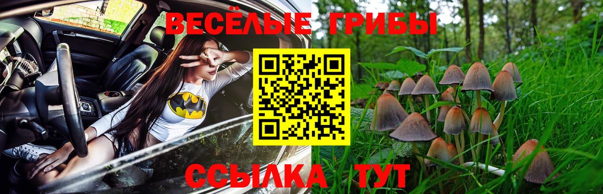 Псилоцибиновые грибы Magic Shrooms Урай