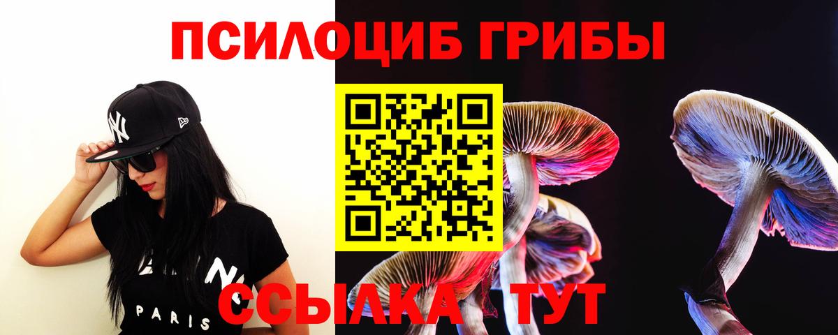 Урай  Галлюциногенные грибы прущие грибы  Вход с VPN  Галлюциногенные грибы мицелий 